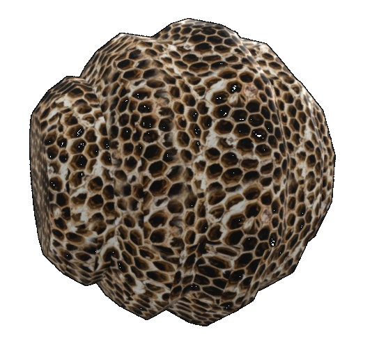 Bee Hive